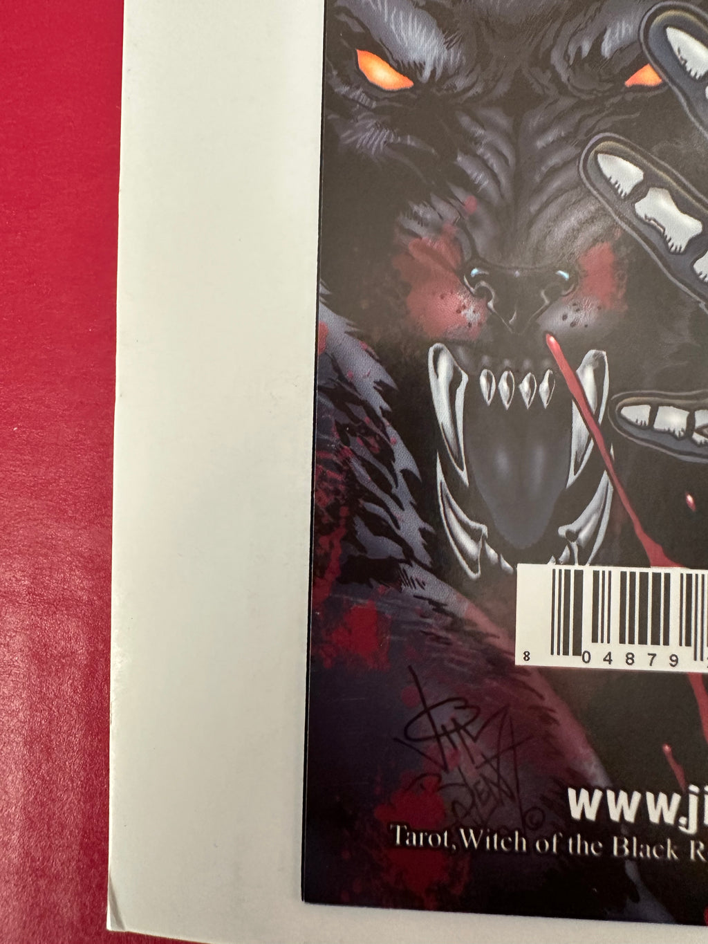 Tarot: Witch of the Black Rose #62A (2010) Signed by Jim Balent by Ugly Monkey Comics