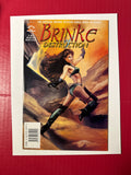 Brinke of Destruction #2 (High-Top 1996) by Ugly Monkey Comics