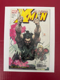 The Uncanny X-Men, Vol. 1 #441 (Marvel Comics 2004) Direct Edition by Ugly Monkey Comics