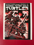 Teenage Mutant Ninja Turtles Reprint (IDW) #1 (IDW Publishing 2026) by Ugly Monkey Comics