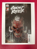 Ghost Rider, Vol. 9 #9A (Marvel Comics 2022) by Ugly Monkey Comics