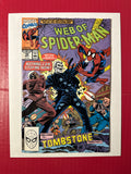 Web of Spider-Man, Vol. 1 #68A (Marvel Comics 1990) by Ugly Monkey Comics