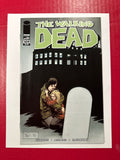 The Walking Dead #109 (Image Comics 2013) Charlie Adlard Regular Cover by Ugly Monkey Comics