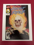 Ghost Rider, Vol. 2 (1990-1998) #18A (Marvel Comics 1991) by Ugly Monkey Comics