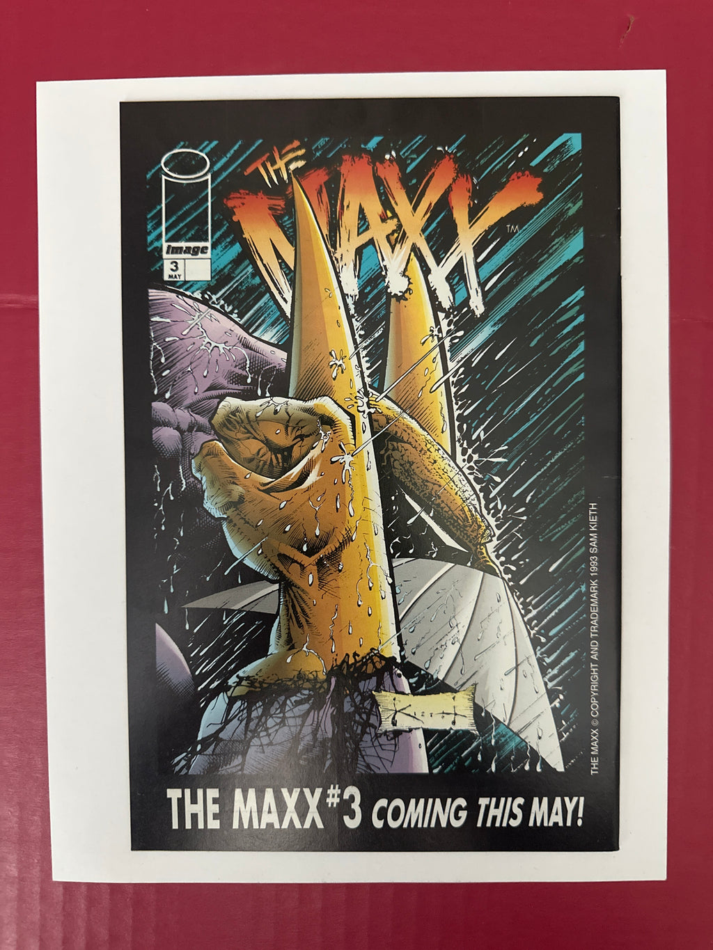 The Maxx #2A (Image Comics 1993) Direct Edition by Ugly Monkey Comics