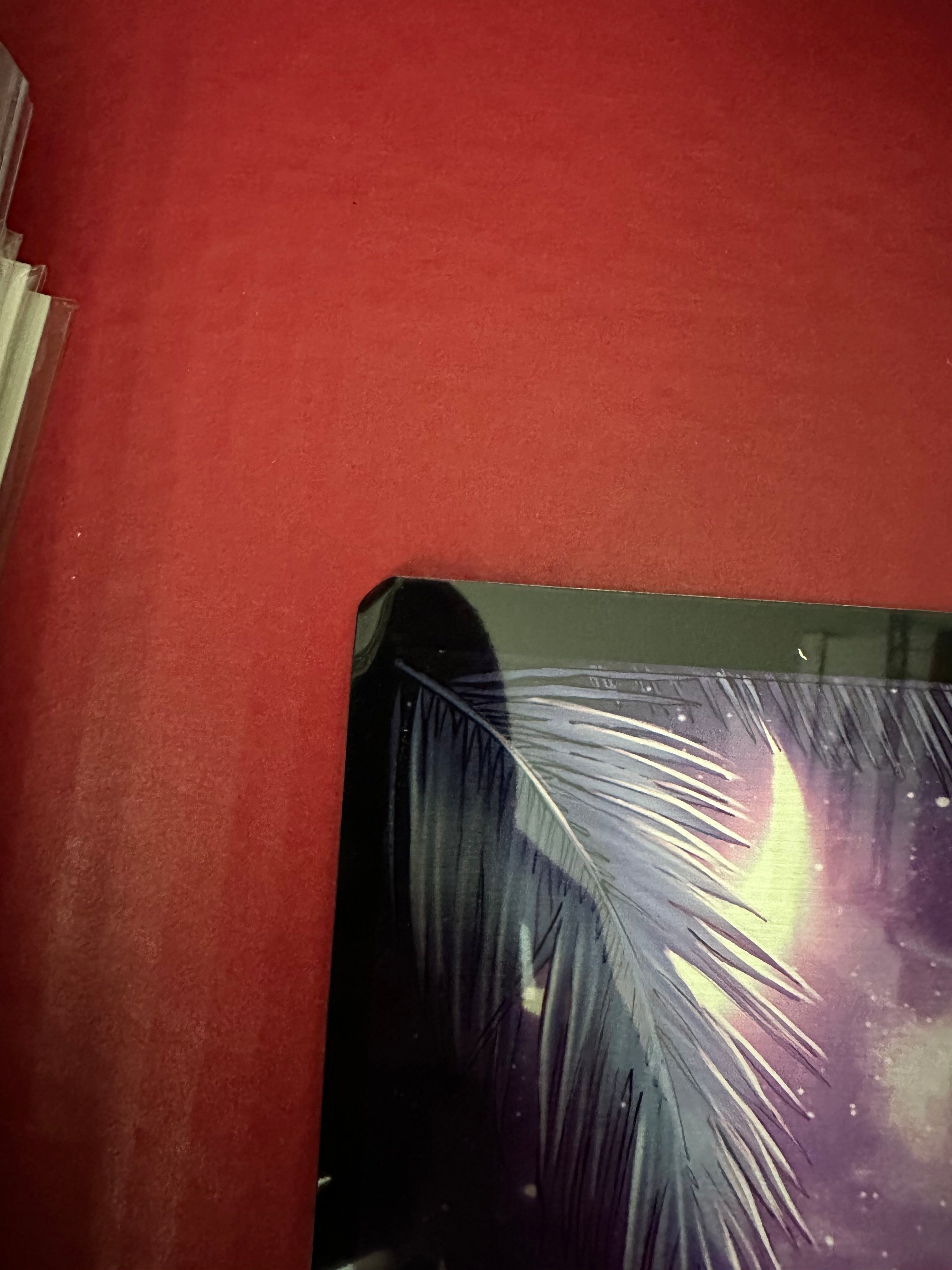 DAMAGED - Miss Meow #2 Marissa Pope Exclusive Naughty Metal 11x17 Poster