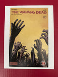 The Walking Dead #163 (Image Comics 2017) Charlie Adlard & Dave Stewart Cover by Ugly Monkey Comics
