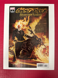 Ghost Rider: Vengeance Forever #1B (Marvel Comics 2022) by Ugly Monkey Comics
