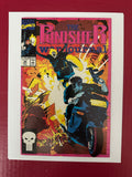 Punisher War Journal Vol 1 30A (1991) by Ugly Monkey Comics