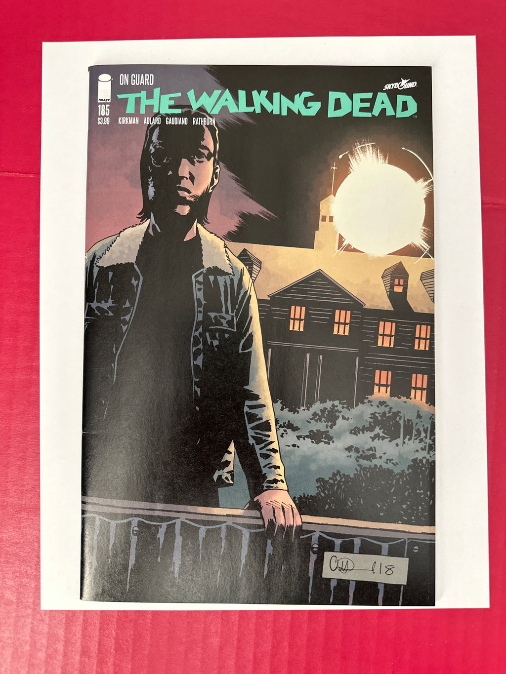 The Walking Dead #185 (Image Comics 2018) Error panel by Ugly Monkey Comics