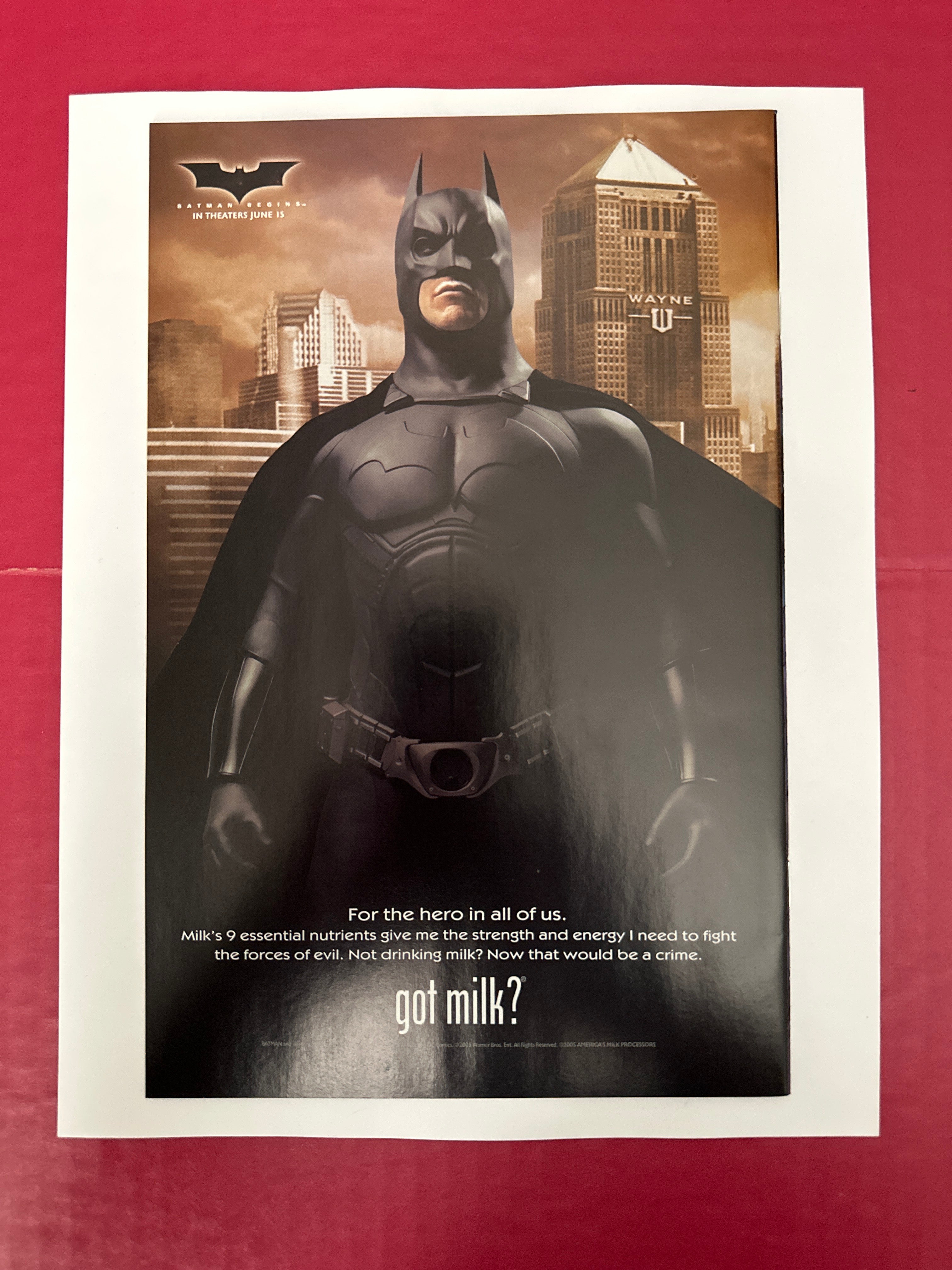 Batman: Journey Into Knight #1 (DC Comics 2005) by Ugly Monkey Comics