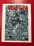 Teenage Mutant Ninja Turtles: Mega Bloks SDCC Exclusive (IDW Publishing 2016) by Ugly Monkey Comics