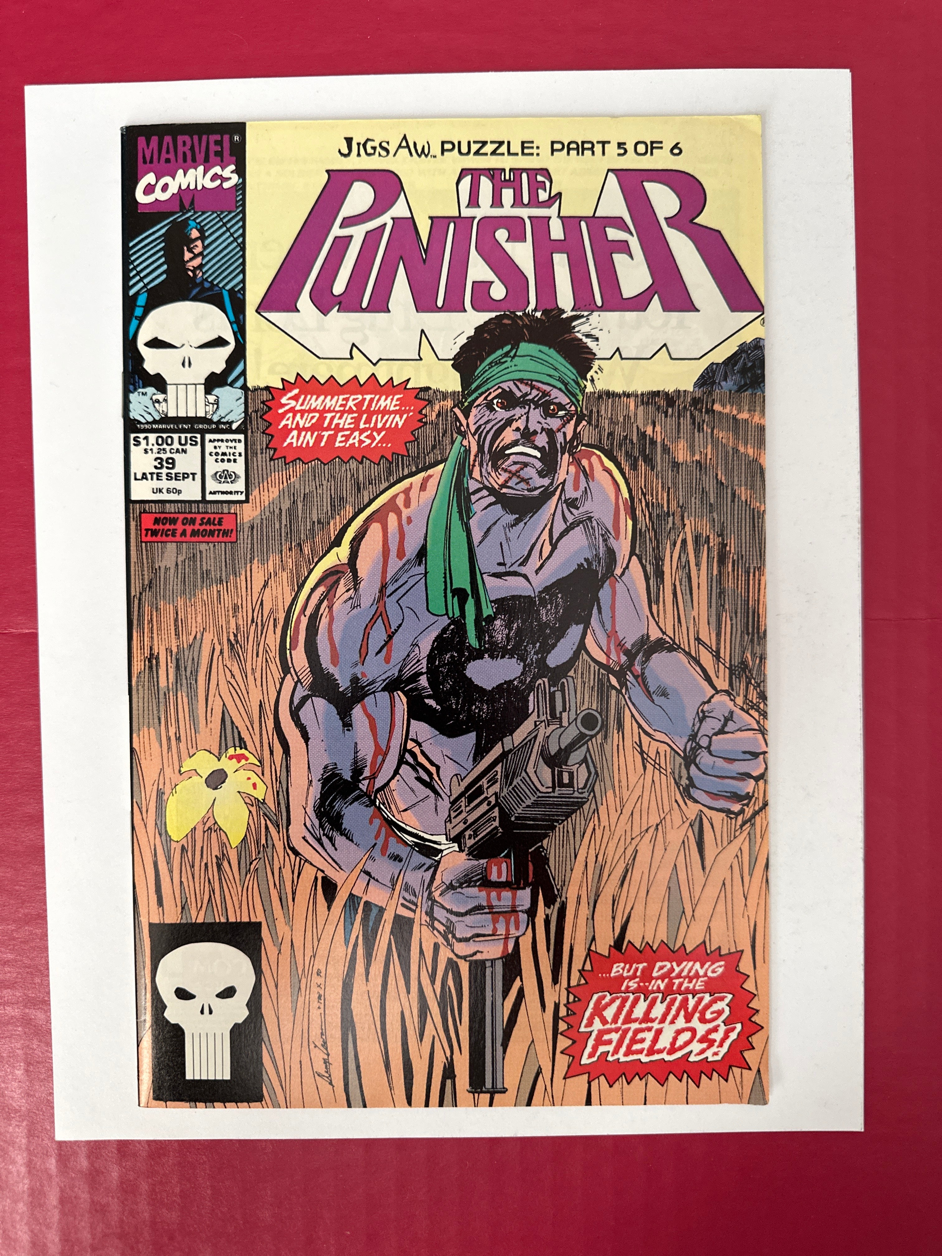 The Punisher Vol 2 39A 1990 Comic Book Denys Cowan Cover Art by Ugly Monkey Comics