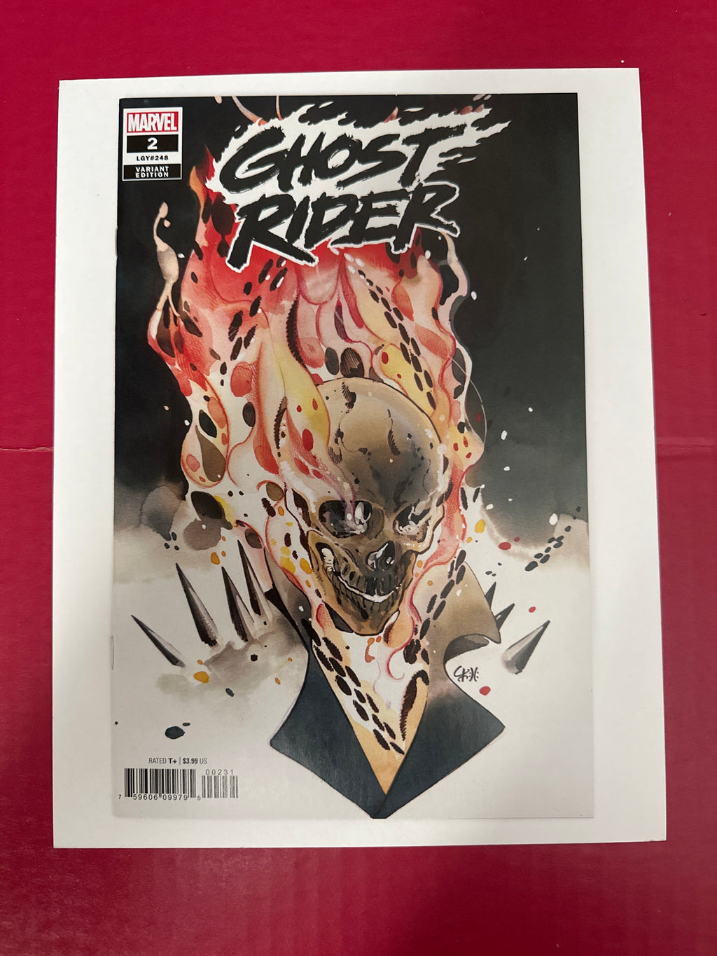 Ghost Rider, Vol. 9 #2C (Marvel Comics 2022) by Ugly Monkey Comics