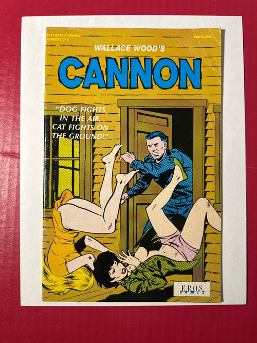 Cannon (Eros Comix) #2 (Fantagraphics 1991) by Ugly Monkey Comics
