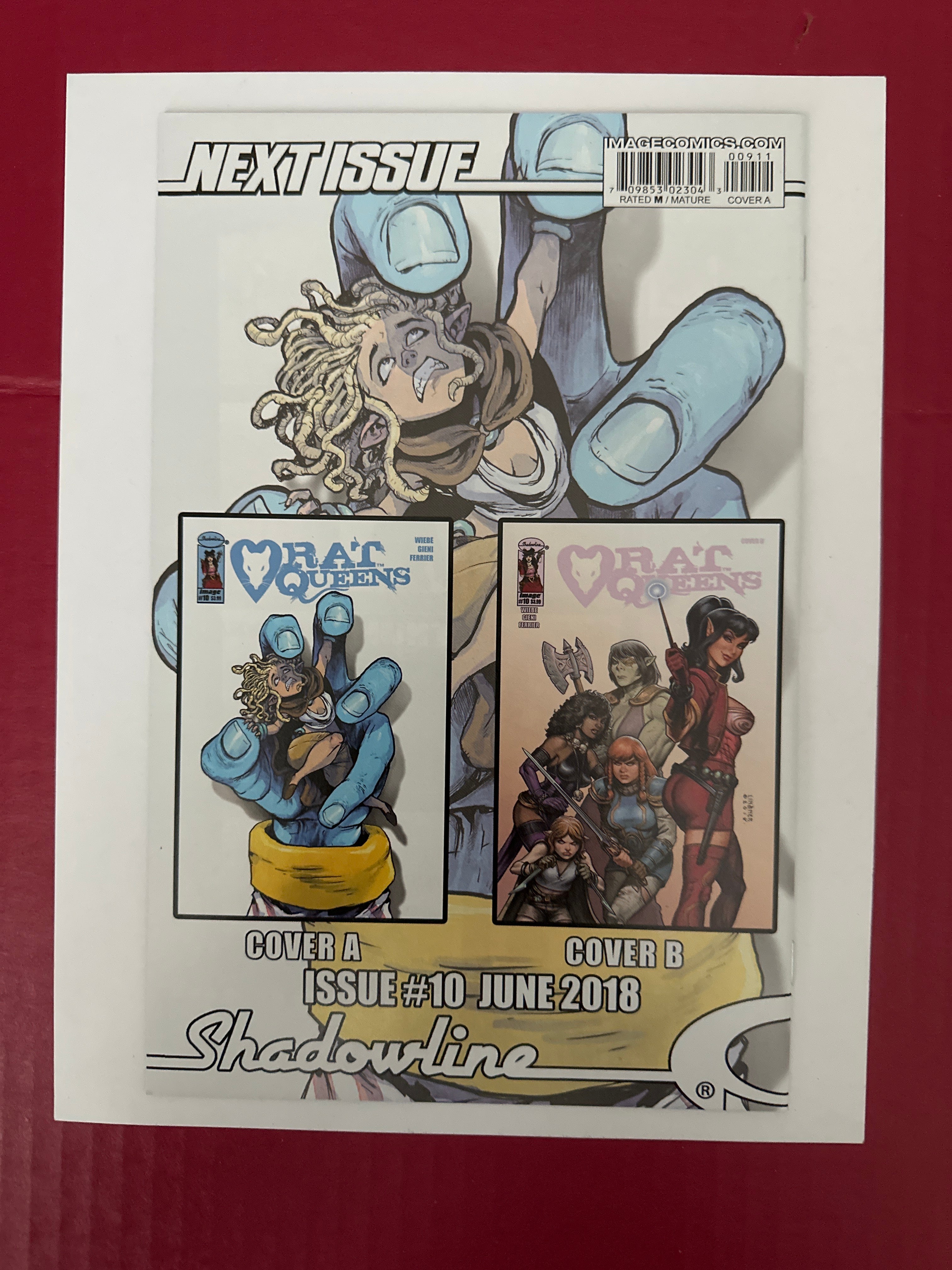 Rat Queens, Vol. 2 #9A (Image Comics 2018) Regular Owen Gieni Cover by Ugly Monkey Comics