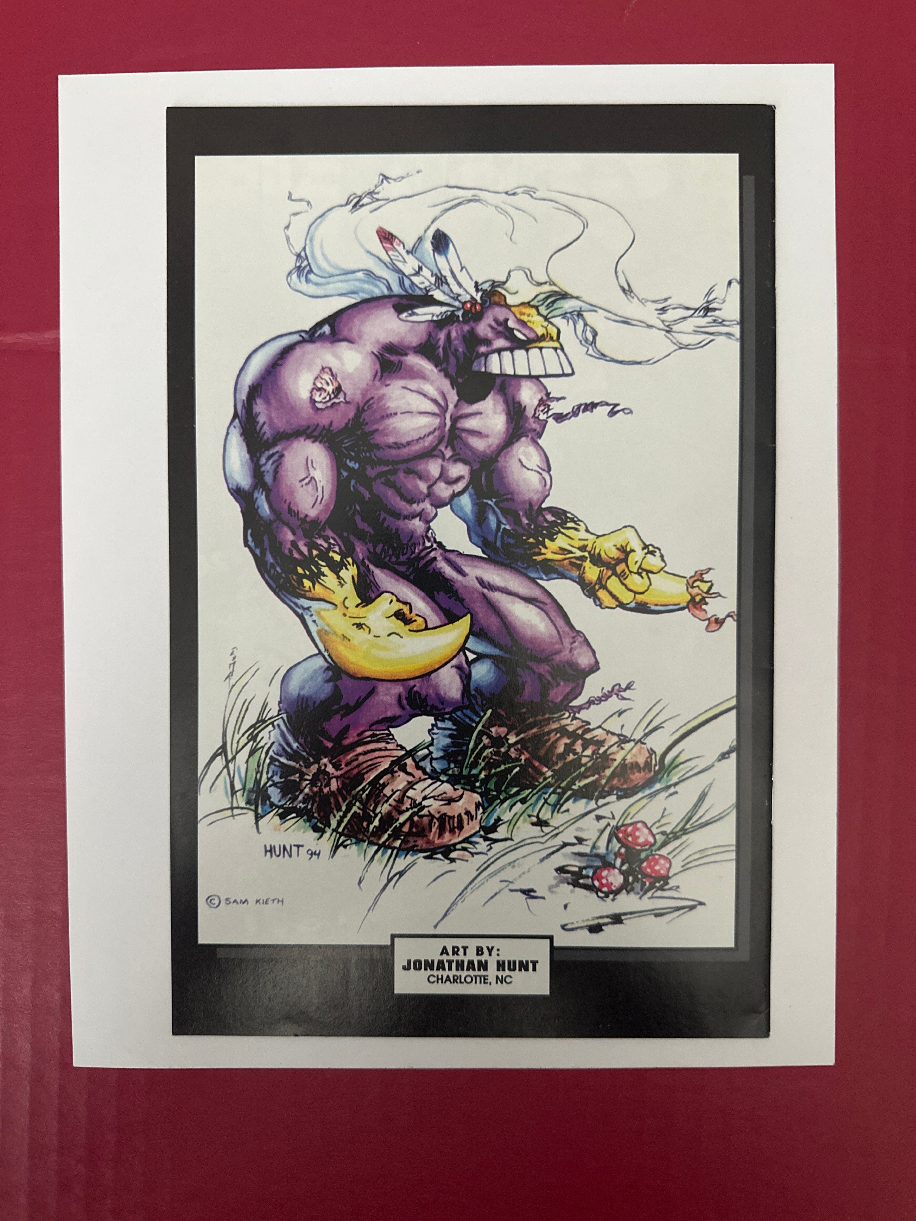 The Maxx #11A (Image Comics 1994) Direct Edition by Ugly Monkey Comics