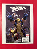 The Uncanny X-Men, Vol. 1 #511 (Marvel Comics 2009) 2nd Printing Greg Land by Ugly Monkey Comics