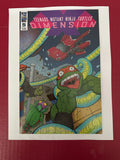 Teenage Mutant Ninja Turtles: Dimension X #5A (IDW Publishing 2017) by Ugly Monkey Comics
