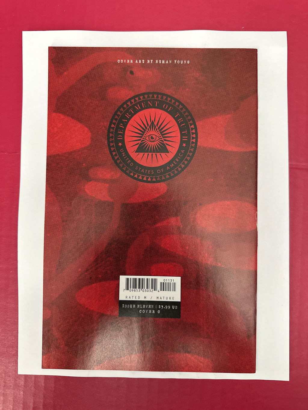 The Department of Truth #11 (Image Comics 2021) Ethan Young Variant by Ugly Monkey Comics