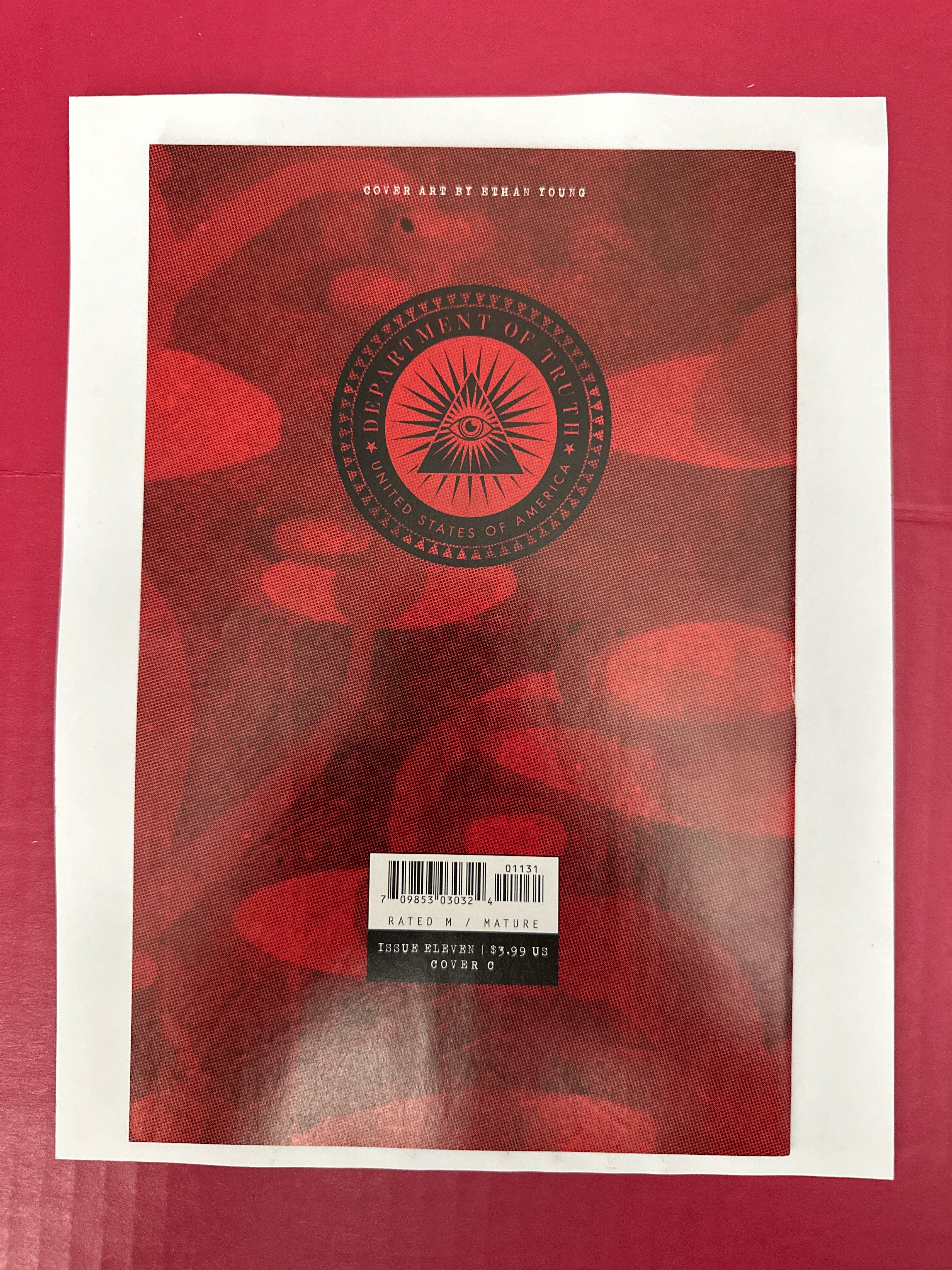 The Department of Truth #11 (Image Comics 2021) Ethan Young Variant by Ugly Monkey Comics