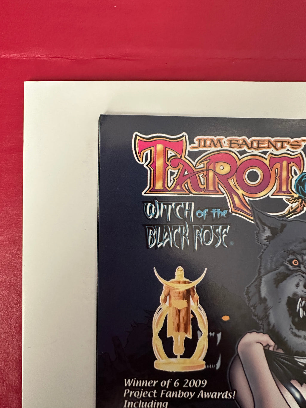 Tarot: Witch of the Black Rose #62A (2010) Signed by Jim Balent by Ugly Monkey Comics
