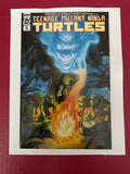 Teenage Mutant Ninja Turtles, Vol. 5 #131C (IDW Publishing 2022) by Ugly Monkey Comics