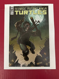 Teenage Mutant Ninja Turtles, Vol. 5 #123B (IDW Publishing 2021) by Ugly Monkey Comics