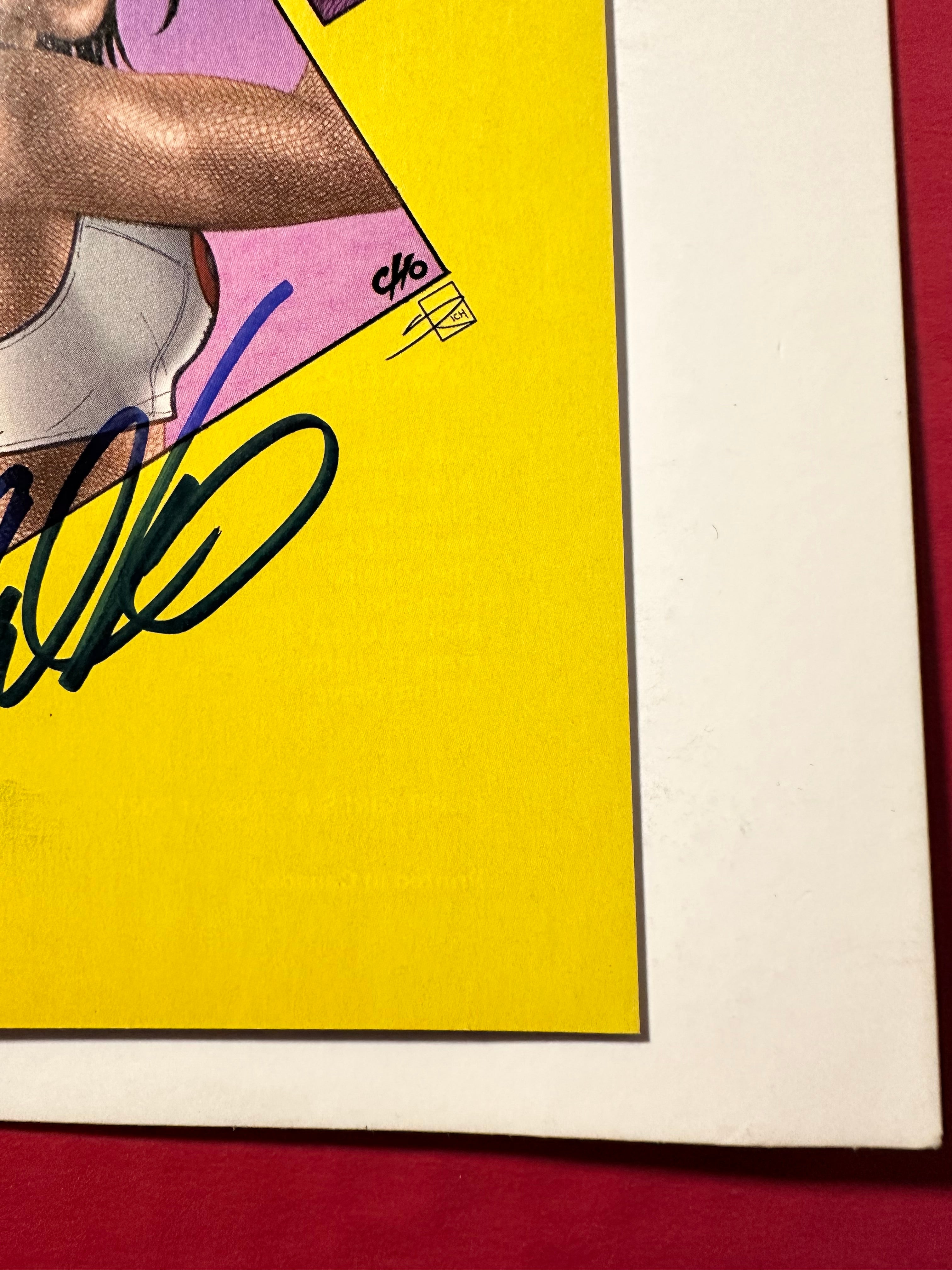 Fight Girls #2 (2021) Double Signed by Frank Cho and Sabine Rich by Ugly Monkey Comics