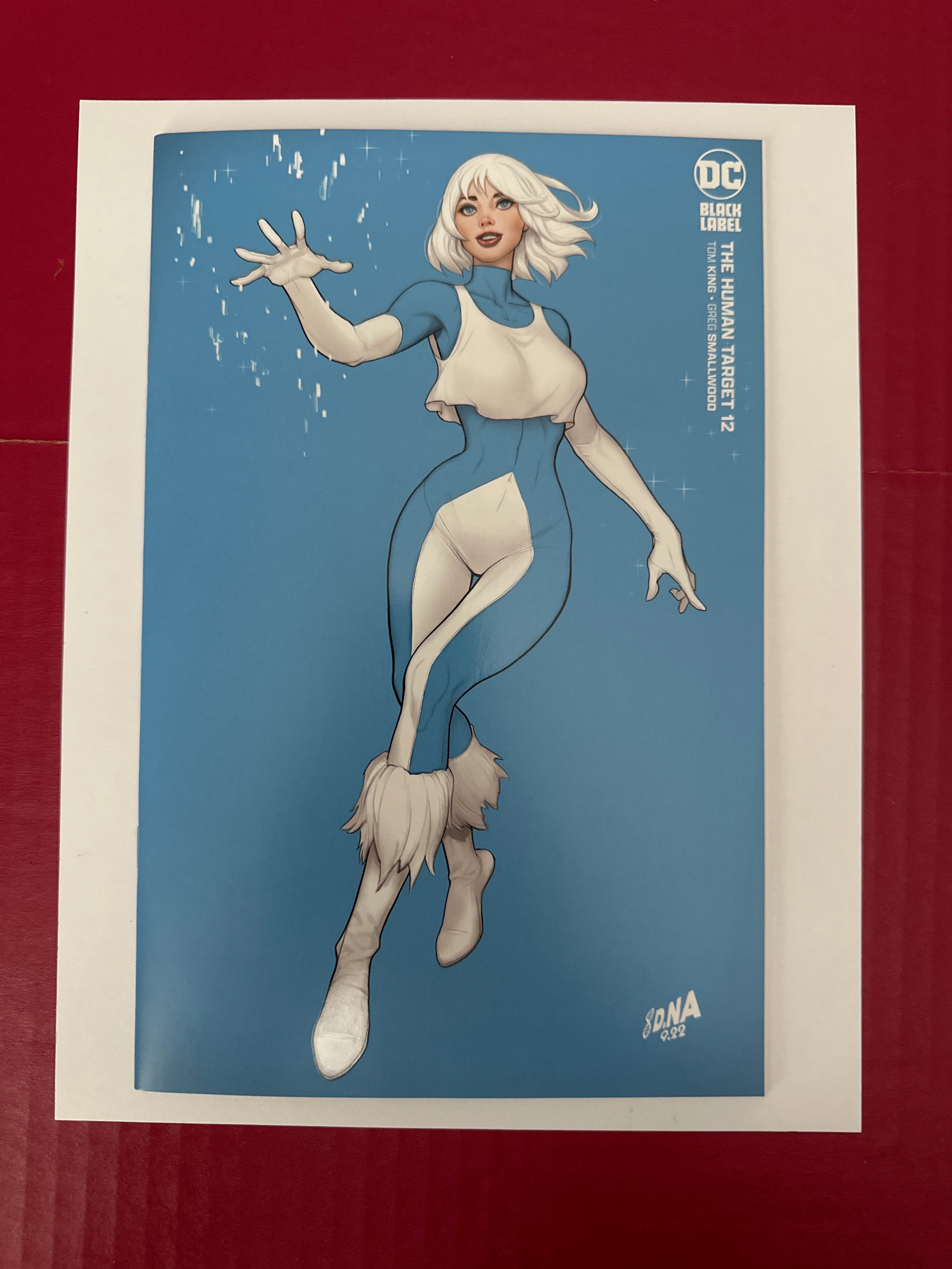 Human Target, Vol. 5 #12 (DC Comics 2023) David Nakayama Cover by Ugly Monkey Comics