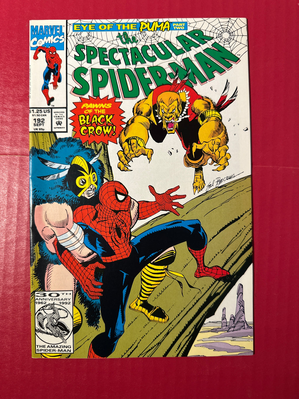 The Spectacular Spider-Man, Vol. 1 #192 (Marvel Comics 1992) Direct Edition by Ugly Monkey Comics