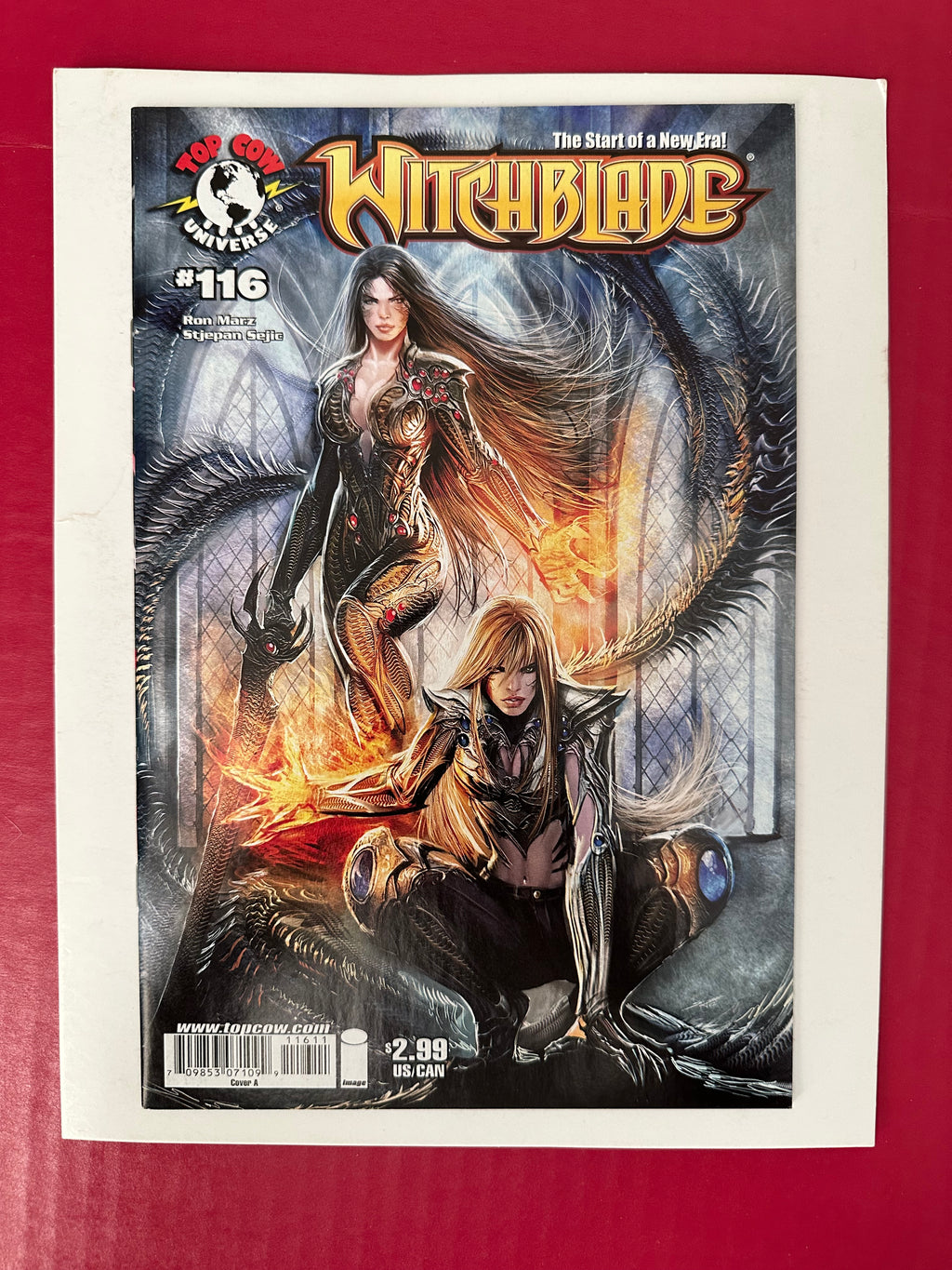 Witchblade, Vol. 1 #116 (2008) by Ugly Monkey Comics