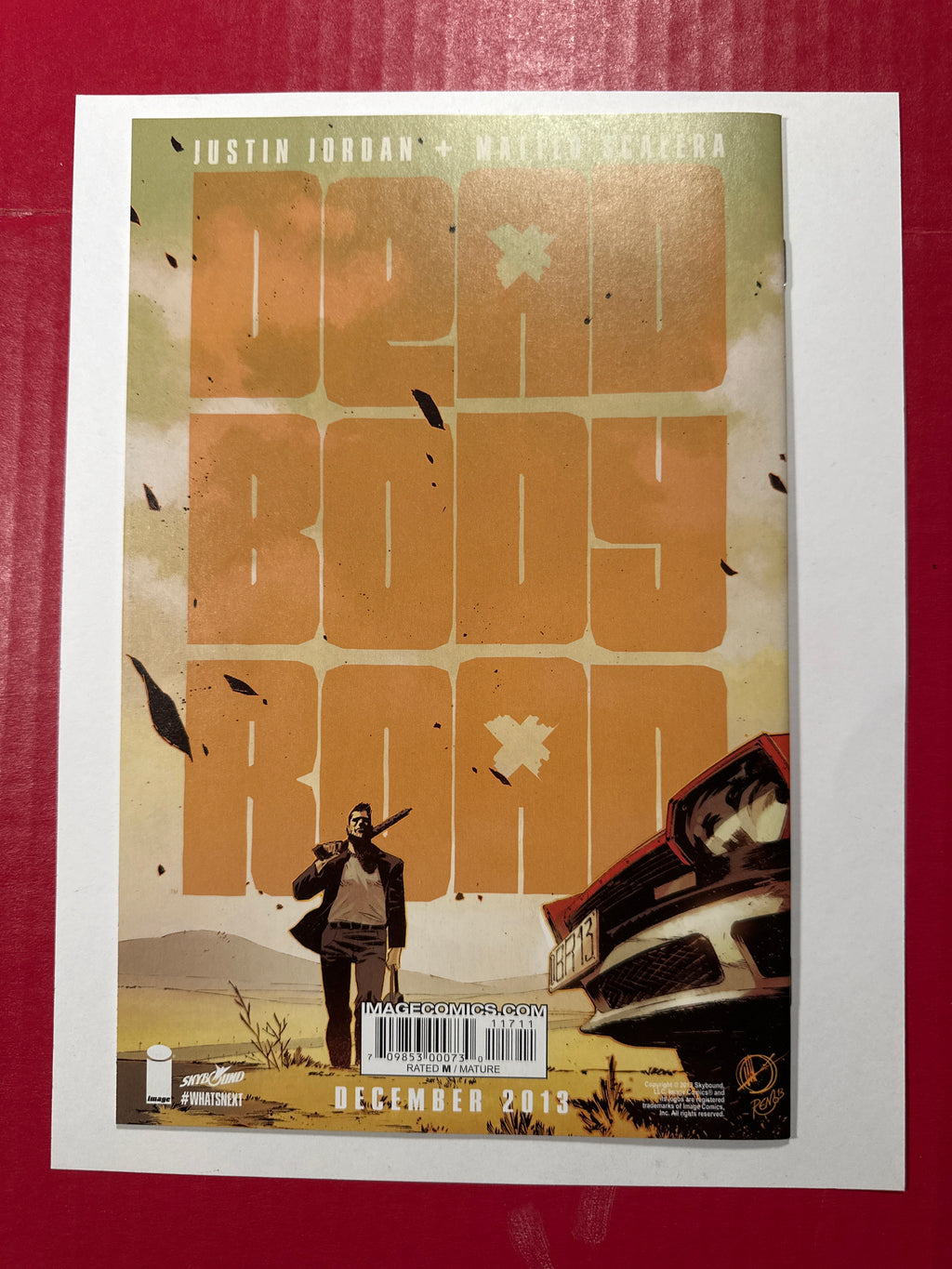 The Walking Dead #117 (Image Comics 2013) Charlie Adlard Regular Cover by Ugly Monkey Comics