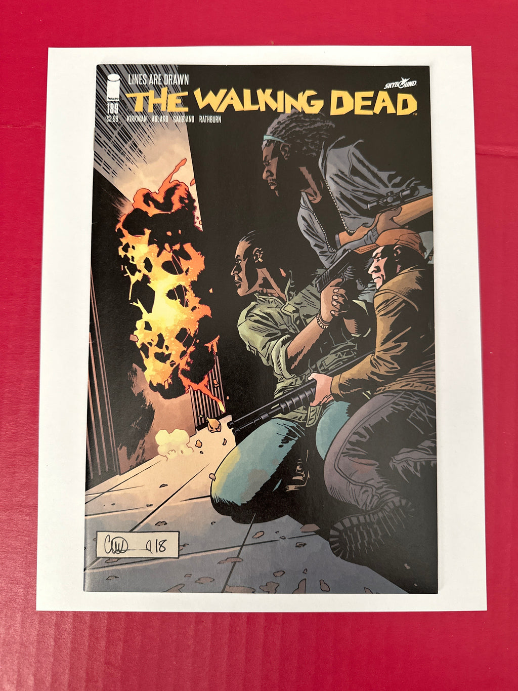 The Walking Dead #189 (Image Comics 2019) Charlie Adlard & Dave Stewart Cover by Ugly Monkey Comics