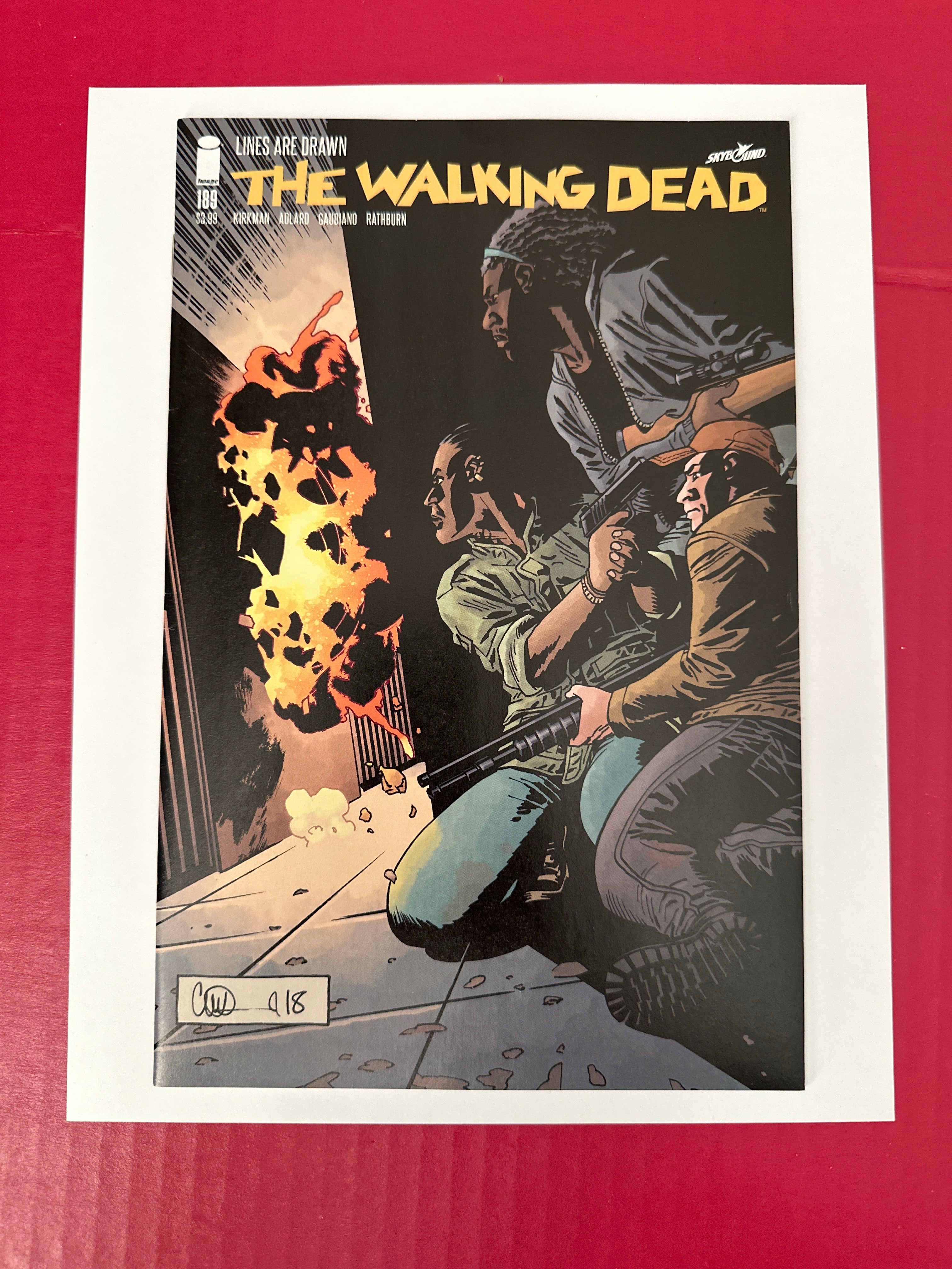 The Walking Dead #189 (Image Comics 2019) Charlie Adlard & Dave Stewart Cover by Ugly Monkey Comics